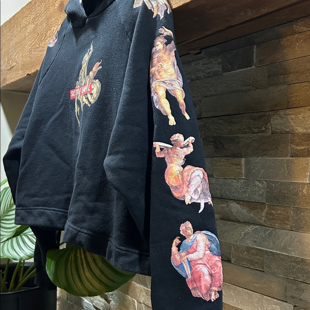 ZARA Sistine Chapel Cropped Hoodie - Picture 4 of 13